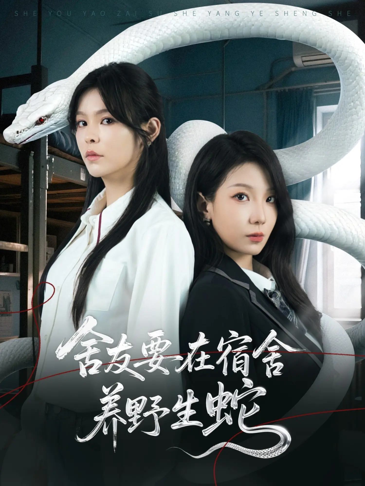 《舍友要在宿舍养野生蛇》：爆笑舍友情崩塌实录，胆小勿入！内含蛇类饲养终极指南？