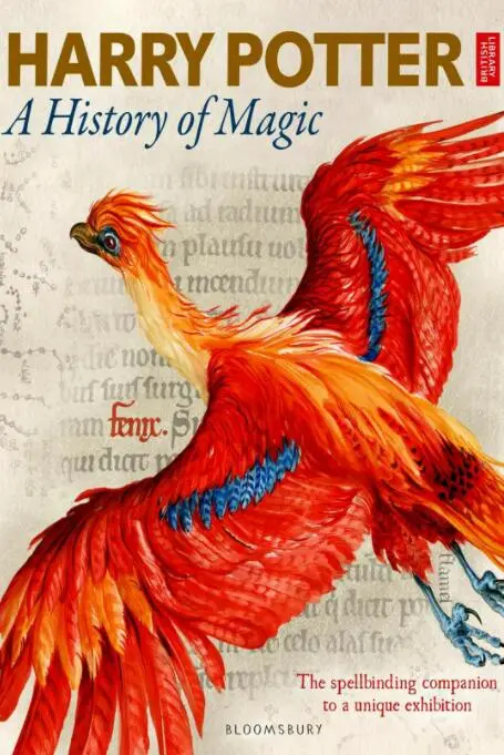 《哈利·波特：一段魔法史》影评：魔法世界背后的秘密，霍格沃茨的奇妙之旅！