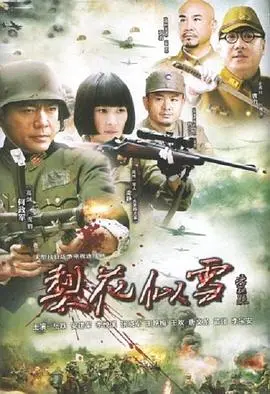 《梨花似雪》：纯爱还是虐恋？一场雪中的凄美爱情故事，等你来解谜！