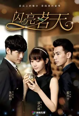 《闪亮茗天》：追梦茶香，看平凡少女如何逆袭成为一代茶艺大师！